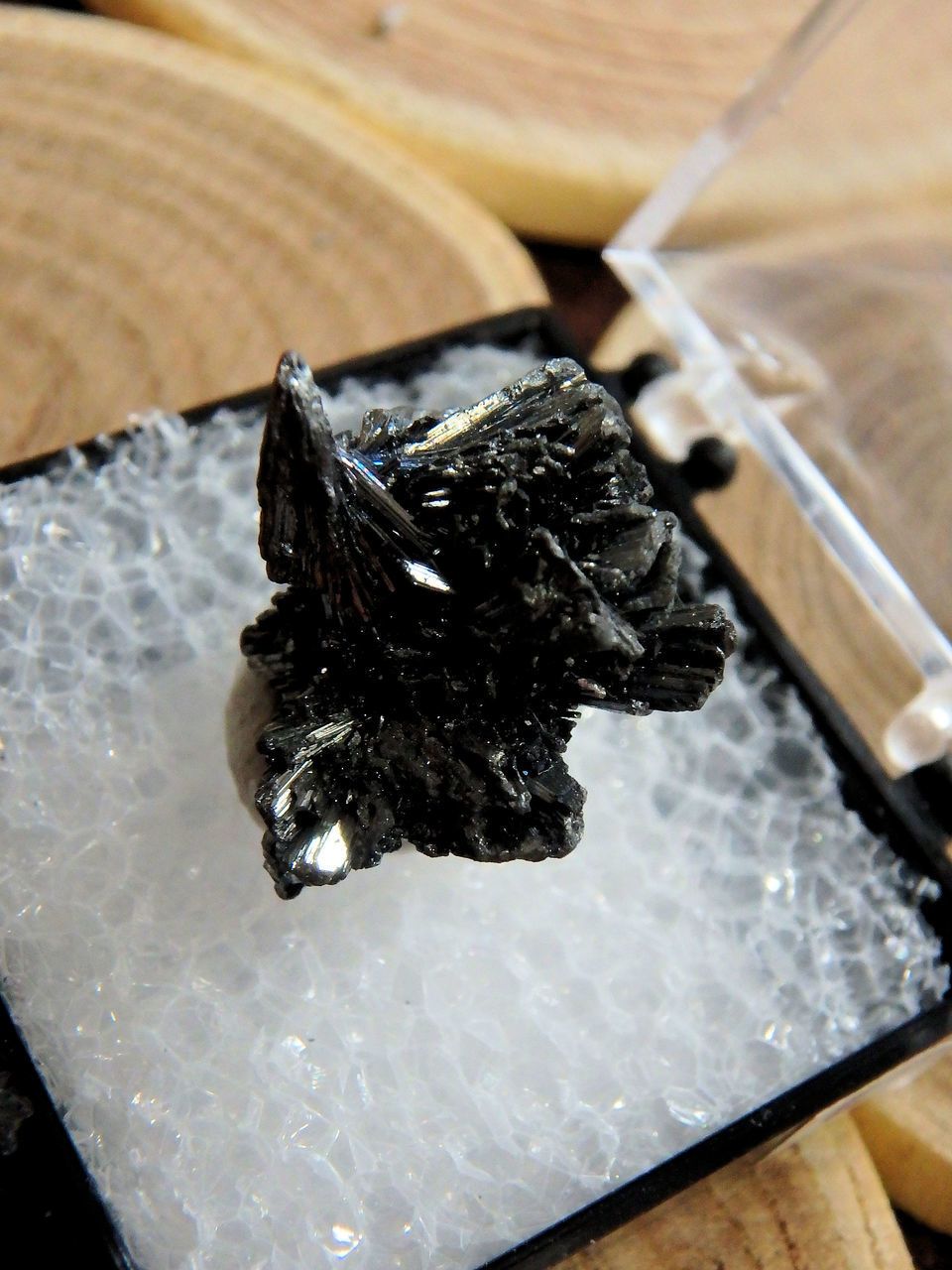 Shiny Stibnite Cluster in Collectors Box From Herja Mine, Romania 1 - Earth Family Crystals