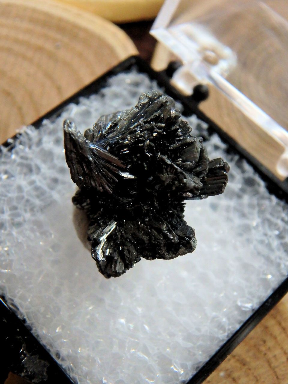 Shiny Stibnite Cluster in Collectors Box From Herja Mine, Romania 1 - Earth Family Crystals