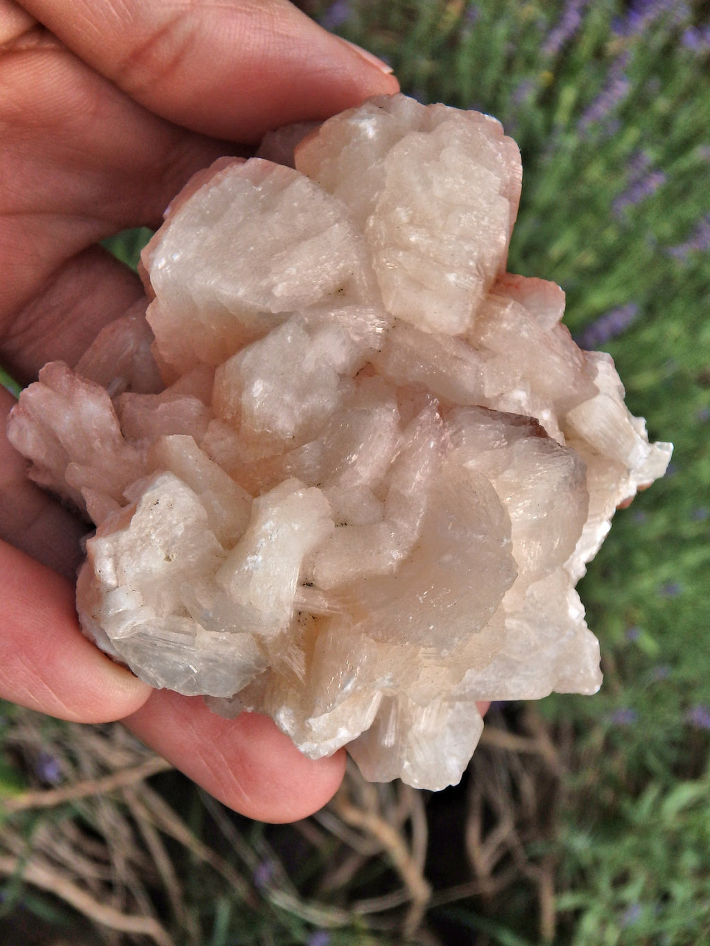 Ribbons of Creamy Pink Stilbite Specimen From India 1 - Earth Family Crystals