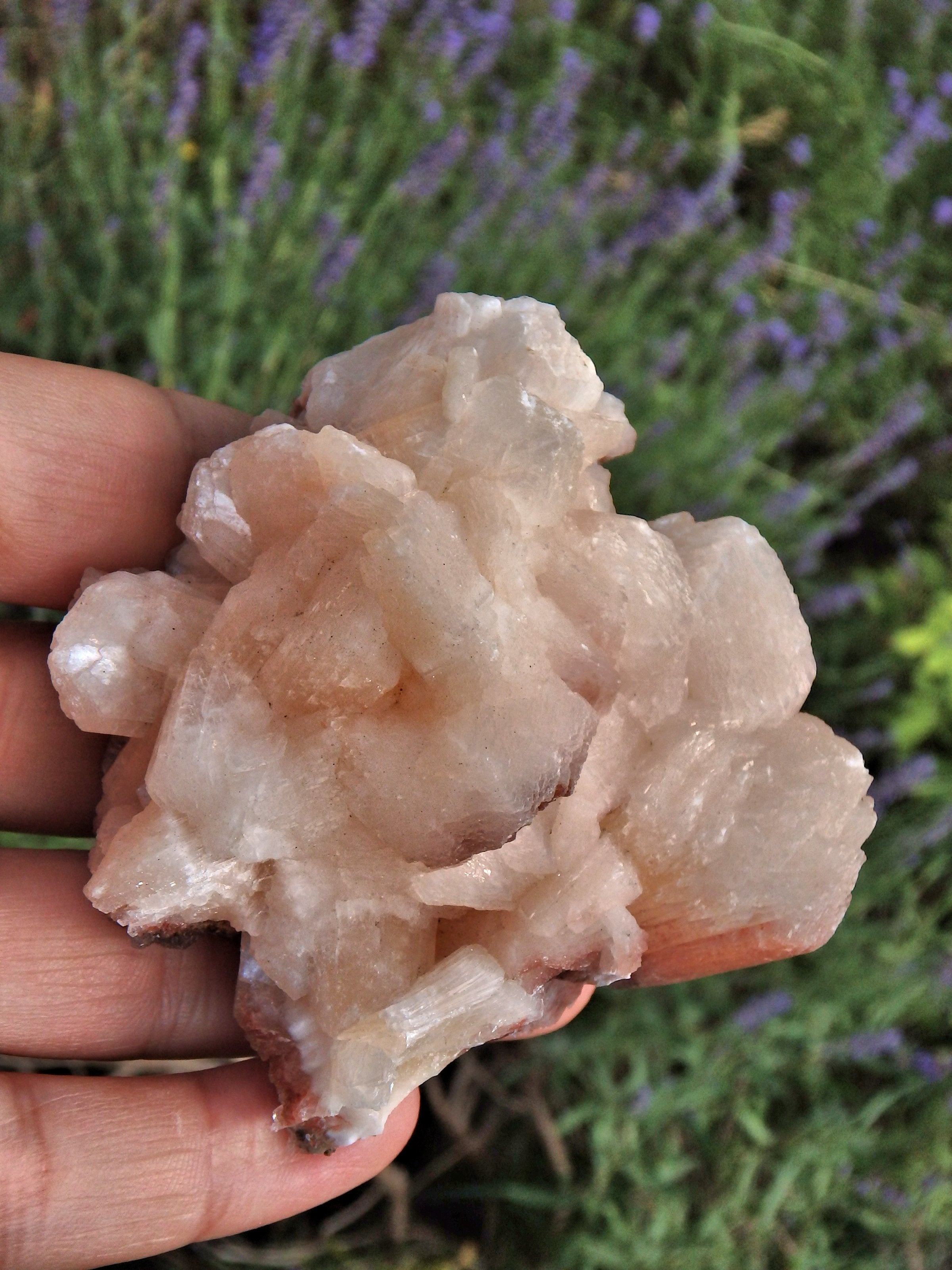 Ribbons of Creamy Pink Stilbite Specimen From India 1 - Earth Family Crystals