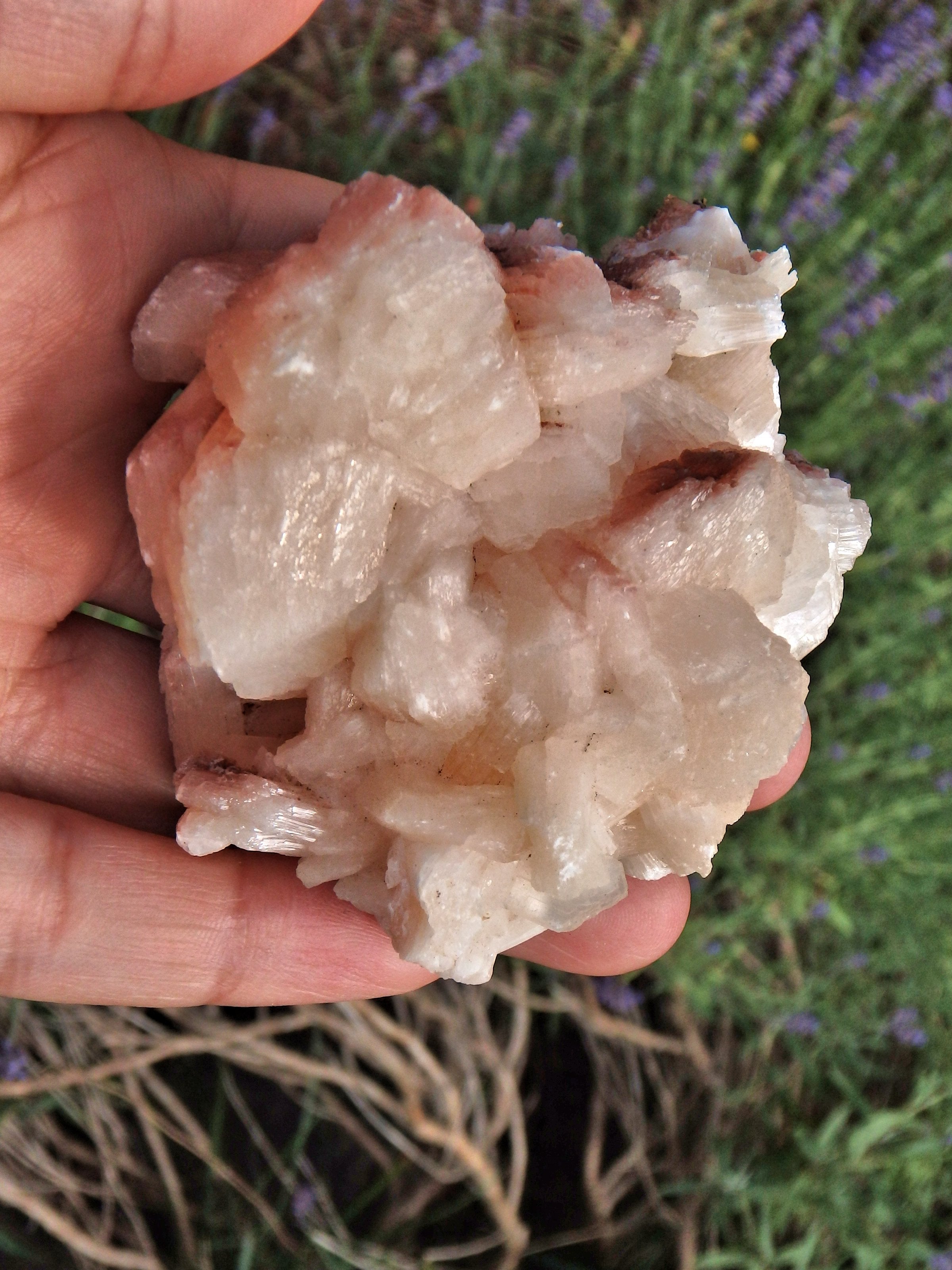 Ribbons of Creamy Pink Stilbite Specimen From India 1 - Earth Family Crystals