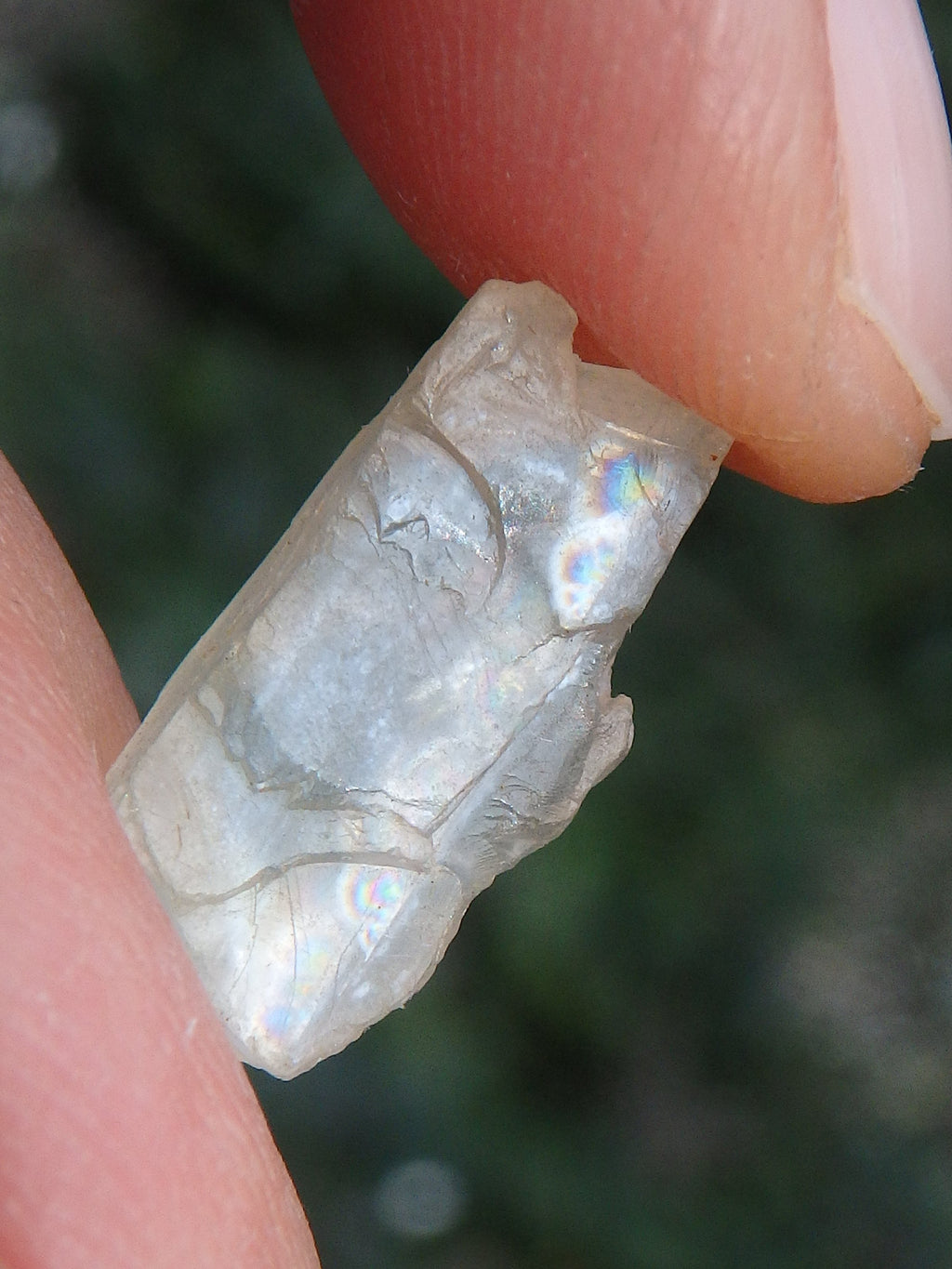 Golden Arizona Natural Sunstone in Collectors Box 1 - Earth Family Crystals