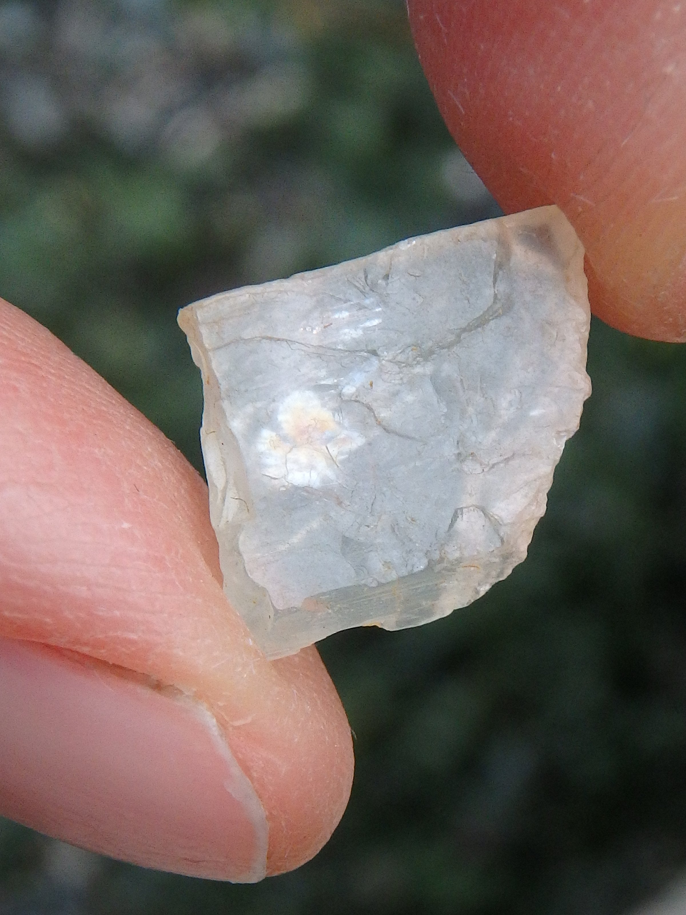 Golden Arizona Natural Sunstone in Collectors Box 5 - Earth Family Crystals