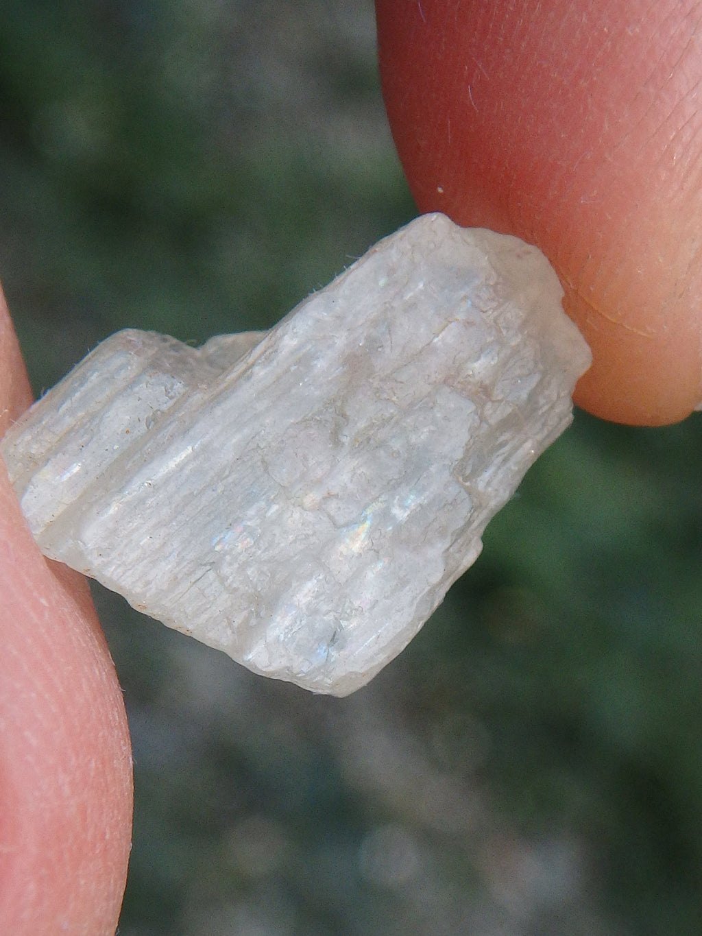 Golden Arizona Natural Sunstone in Collectors Box 4 - Earth Family Crystals