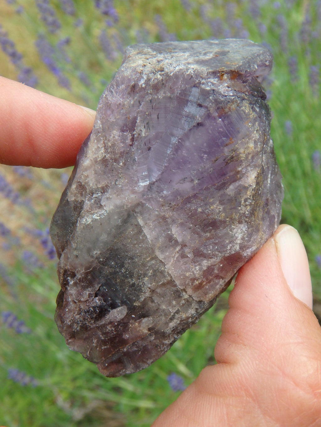 Chunky Super 7 (Melody Stone) Point Specimen - Earth Family Crystals