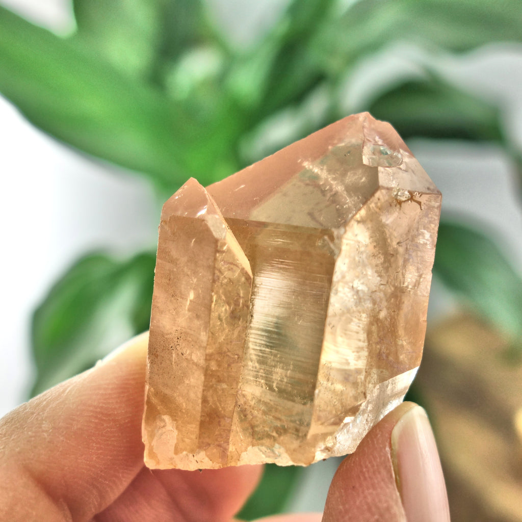 Fantastic Tangerine Quartz Twin Point From Brazil - Earth Family Crystals