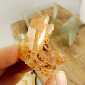 Adorable Dainty Tangerine Quartz Cluster From Brazil - Earth Family Crystals