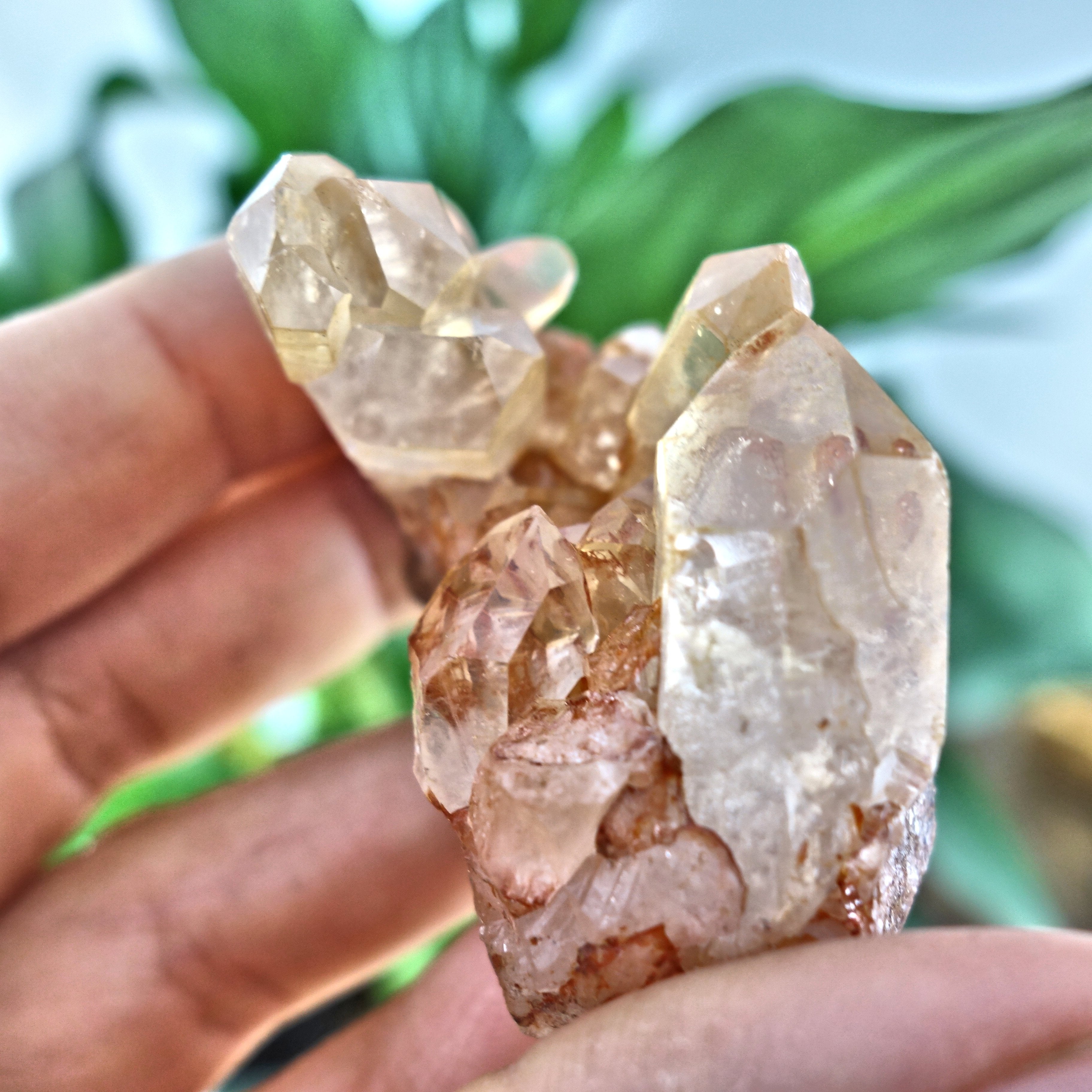 Tangerine Quartz Cluster From Brazil 8 - Earth Family Crystals