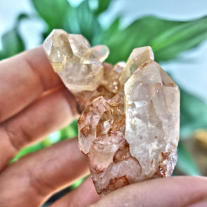 Tangerine Quartz Cluster From Brazil 8 - Earth Family Crystals