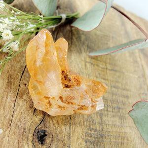 Adorable Dainty Tangerine Quartz Cluster From Brazil - Earth Family Crystals