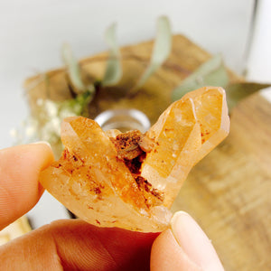 Adorable Dainty Tangerine Quartz Cluster From Brazil - Earth Family Crystals