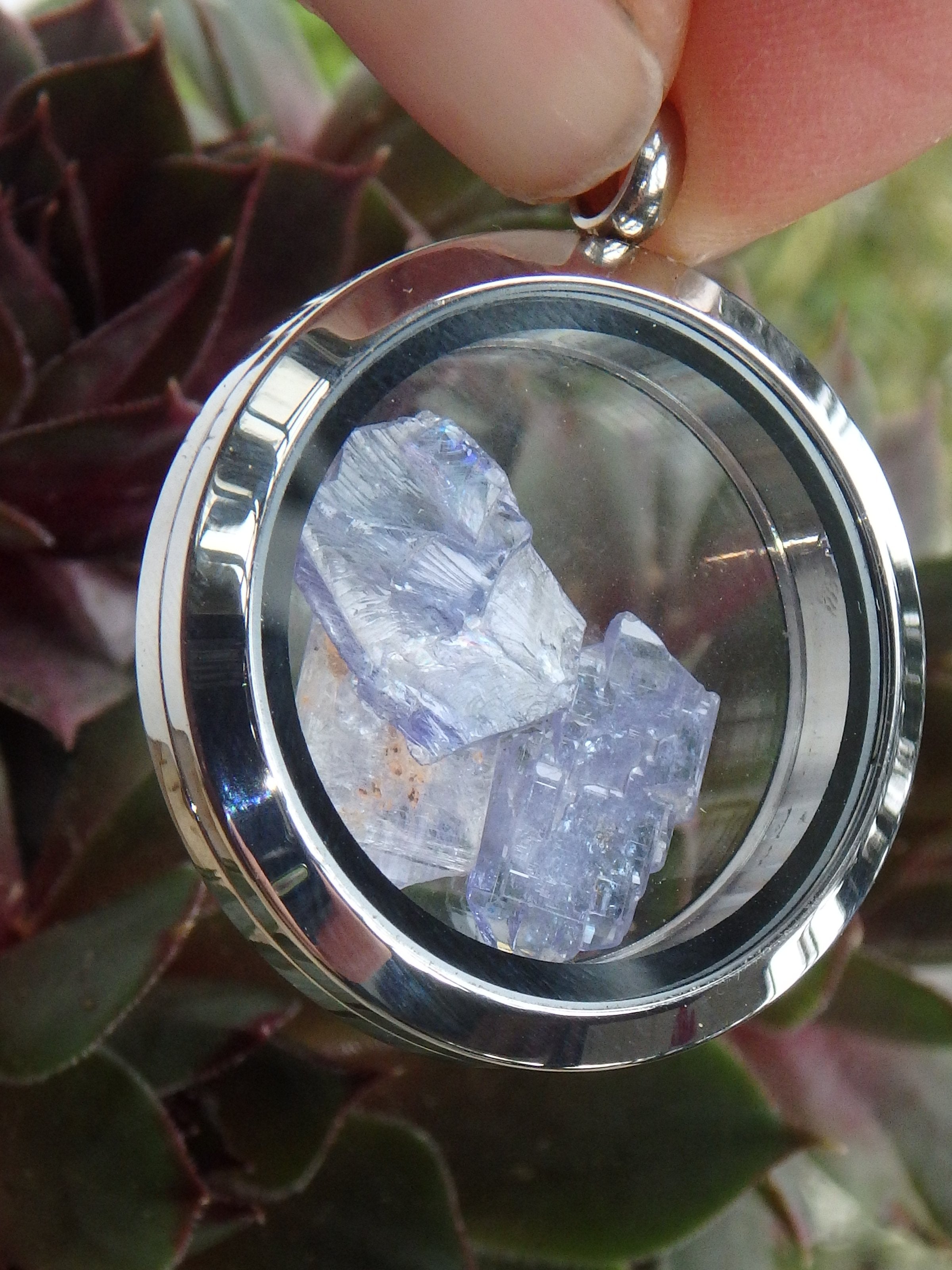 Floating Gemmy Tanzanite Natural Crystals in Stainless Steel Locket Style Pendant (Includes Silver Chain) - Earth Family Crystals