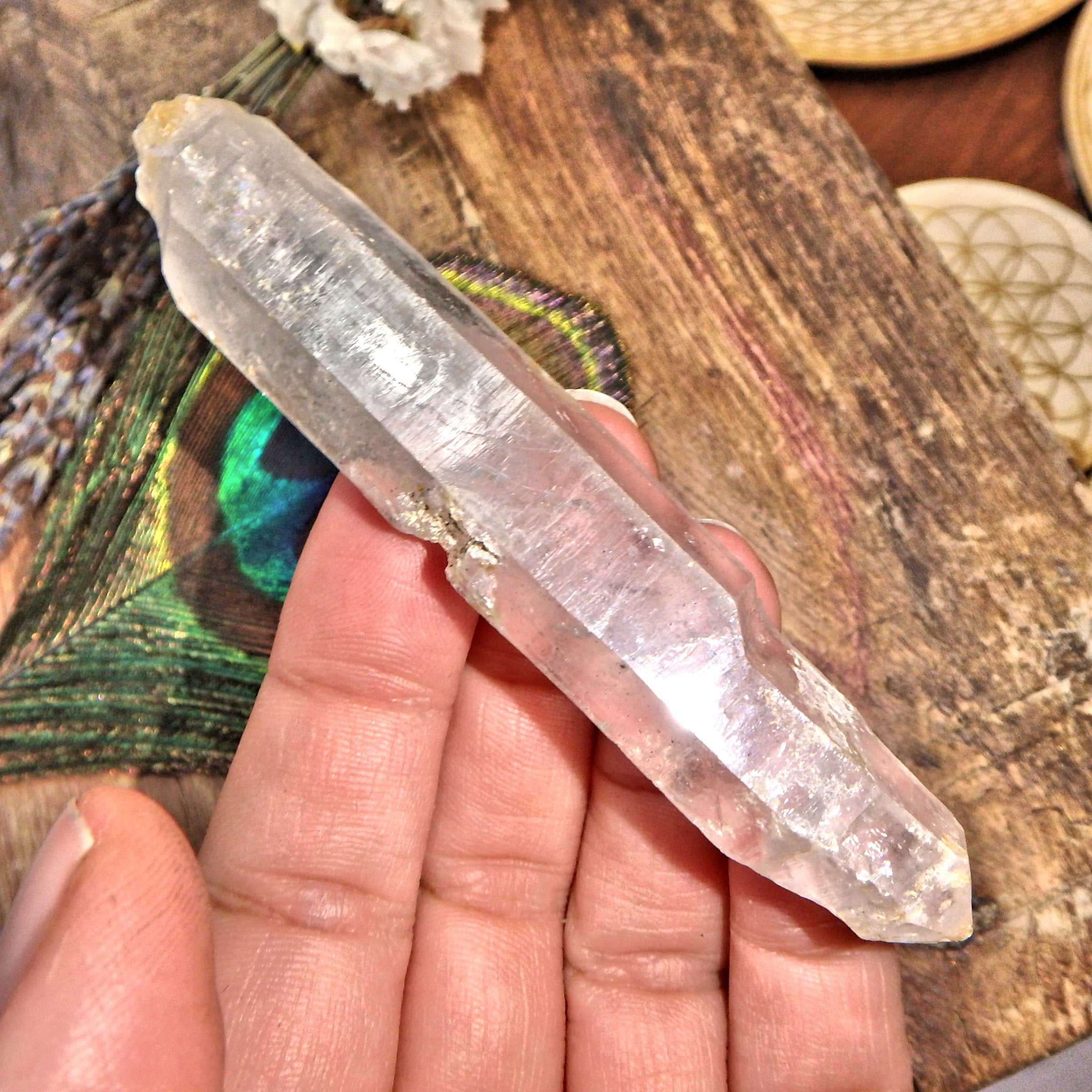 Tibetan Quartz Point Specimen 8 - Earth Family Crystals