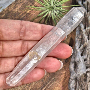 Shiny Tibetan Quartz Point Specimen