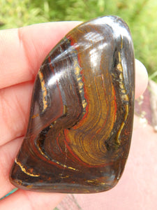 Shiny Tiger Iron Hand Held Specimen From Australia