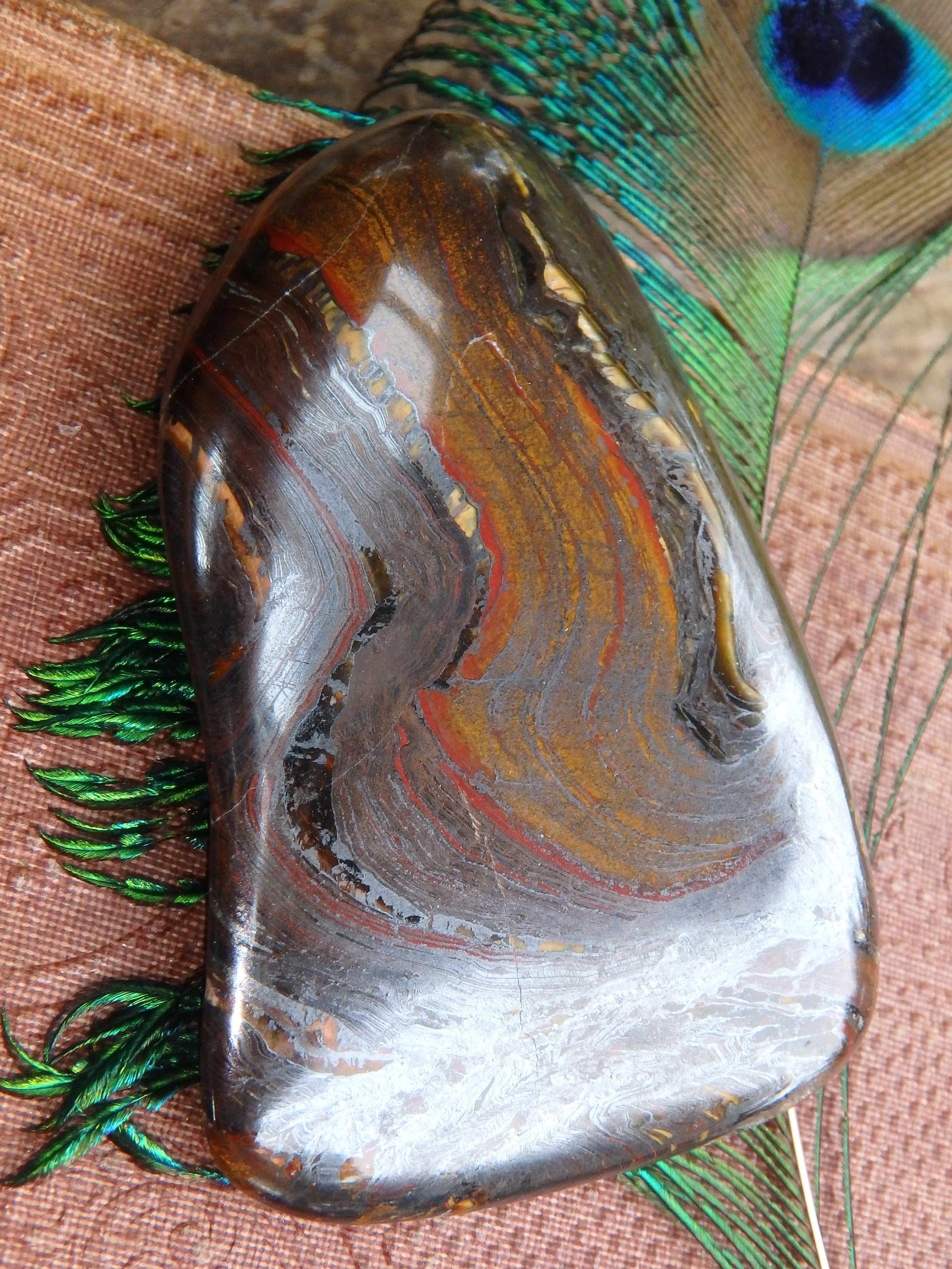 Shiny Tiger Iron Hand Held Specimen From Australia