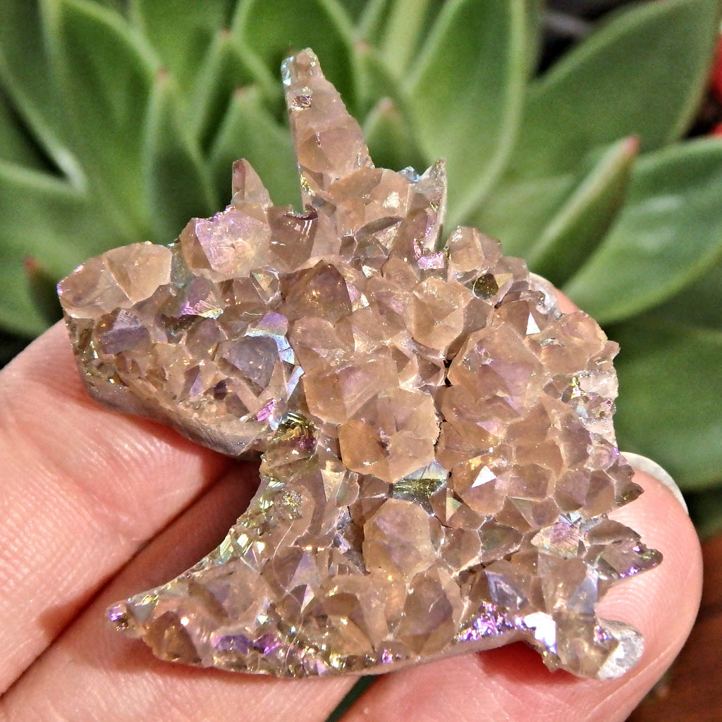 Rainbow Sparkle Titanium Quartz Unicorn Carving Specimen1 - Earth Family Crystals