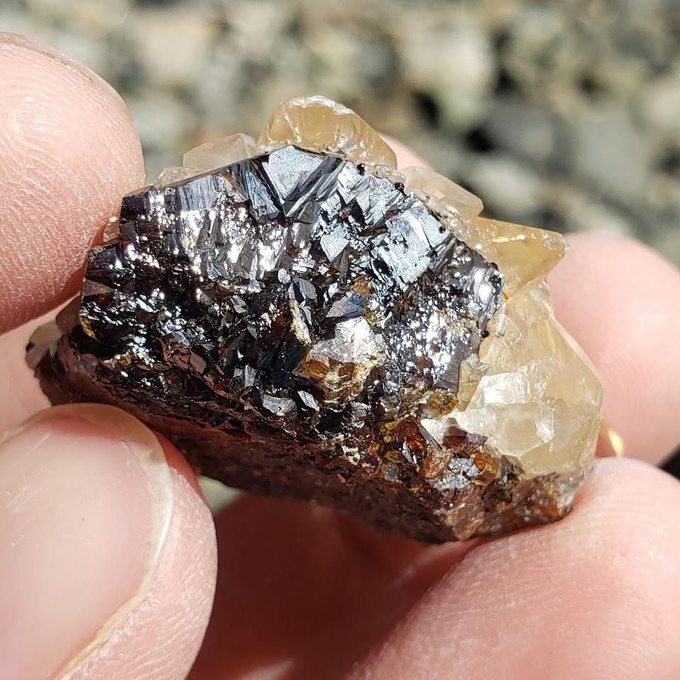 Famous Locality~Elmwood Mine Golden Stellar Beam Calcite Points nestled in Sphalerite Matrix - Earth Family Crystals