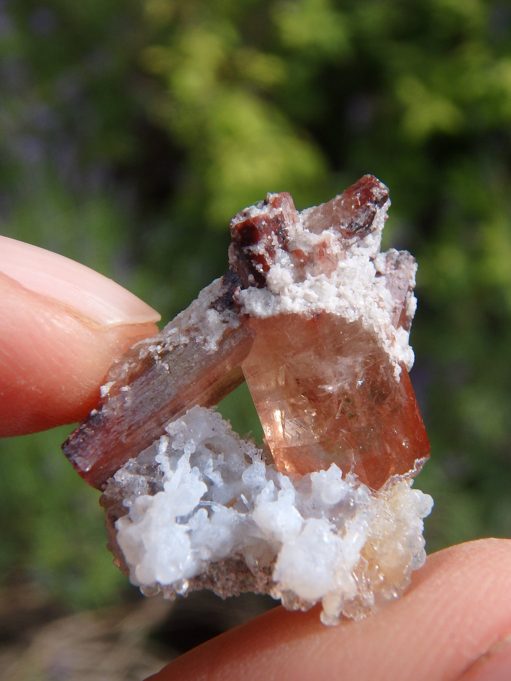 Gemmy Imperial Topaz Small Collectors Specimen - Earth Family Crystals