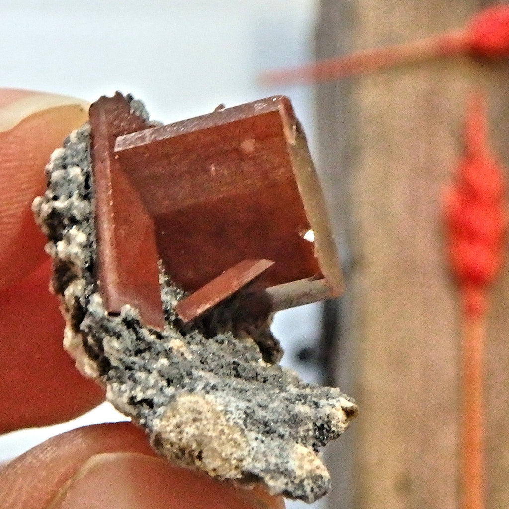 Deep Orange Topaz on Dainty Matrix From Mexico - Earth Family Crystals