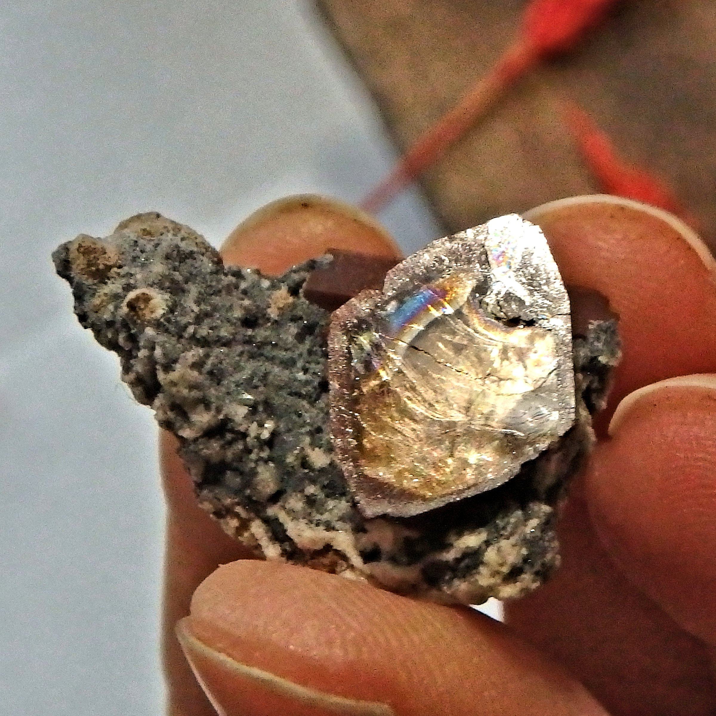 Deep Orange Topaz on Dainty Matrix From Mexico - Earth Family Crystals