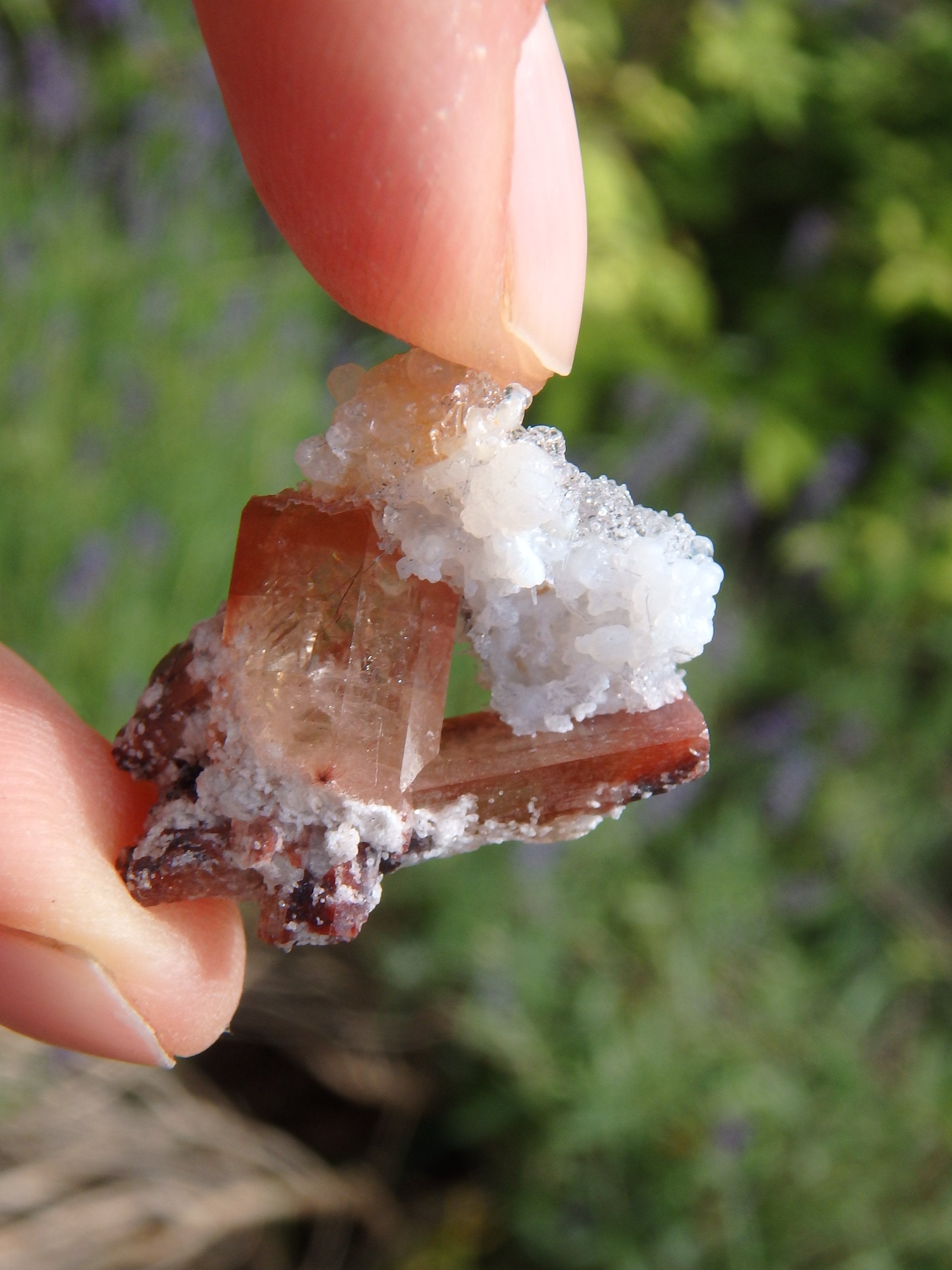 Gemmy Imperial Topaz Small Collectors Specimen - Earth Family Crystals