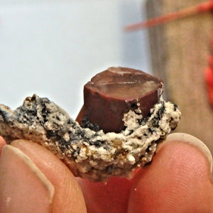 Deep Orange Topaz on Dainty Matrix From Mexico - Earth Family Crystals