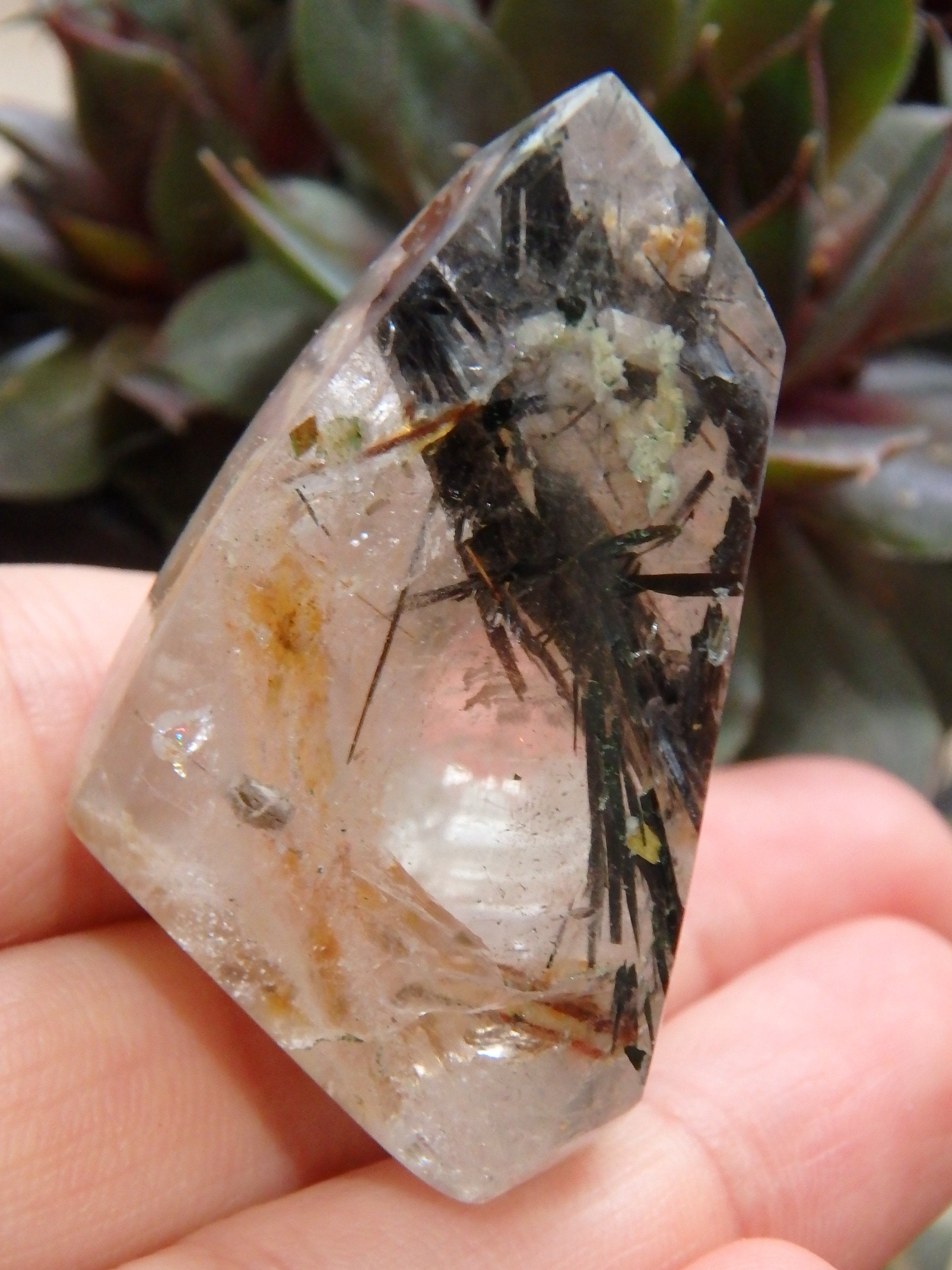 Polished Tourmalated Himalayan Quartz Free Form Specimen 2 - Earth Family Crystals