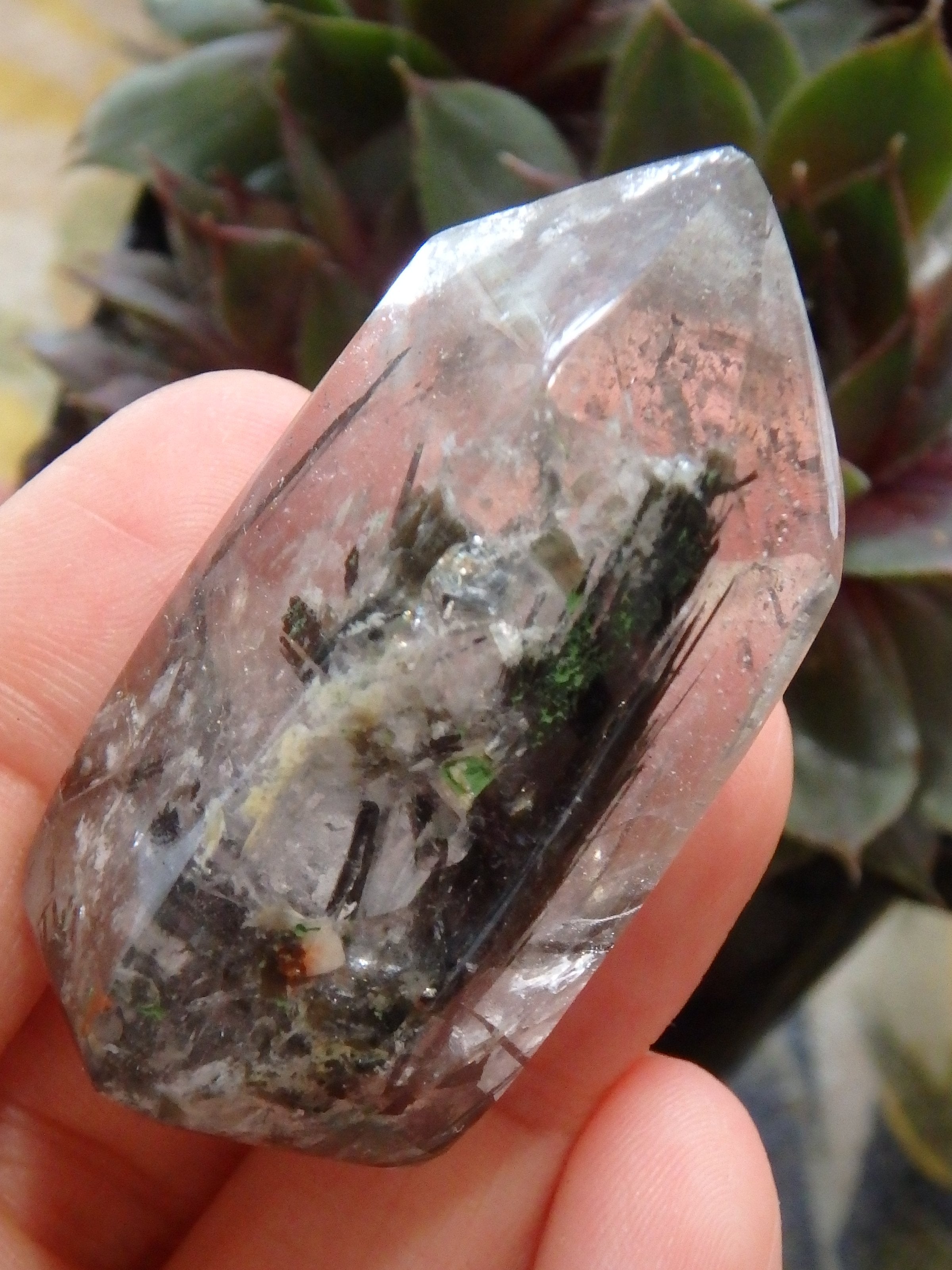 Polished Tourmalated Himalayan Quartz Free Form Specimen 3 - Earth Family Crystals