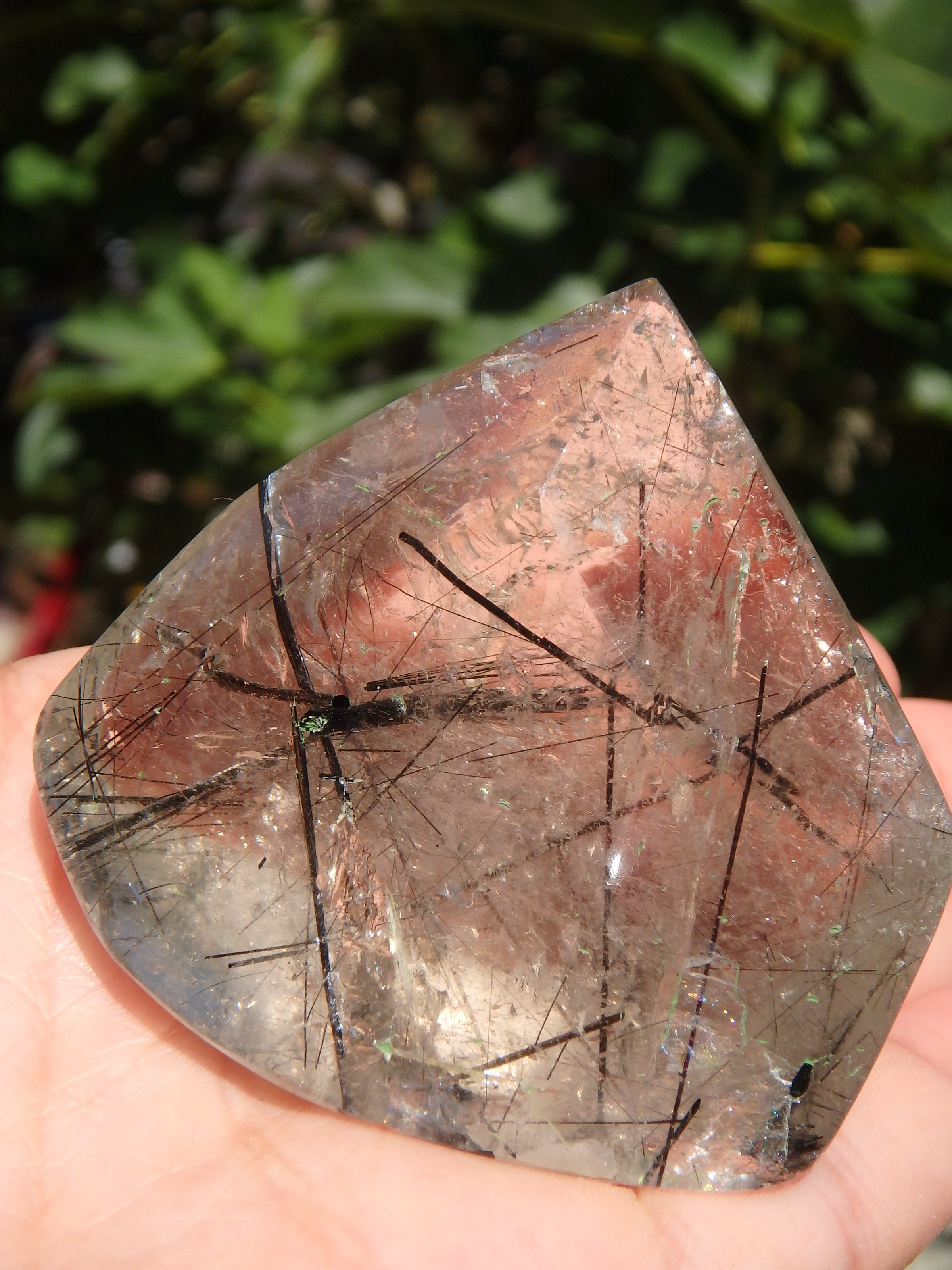 RESERVED FOR TRACY~ Gorgeous Himalayan Tourmalated Quartz Standing Specimen From India REDUCED - Earth Family Crystals