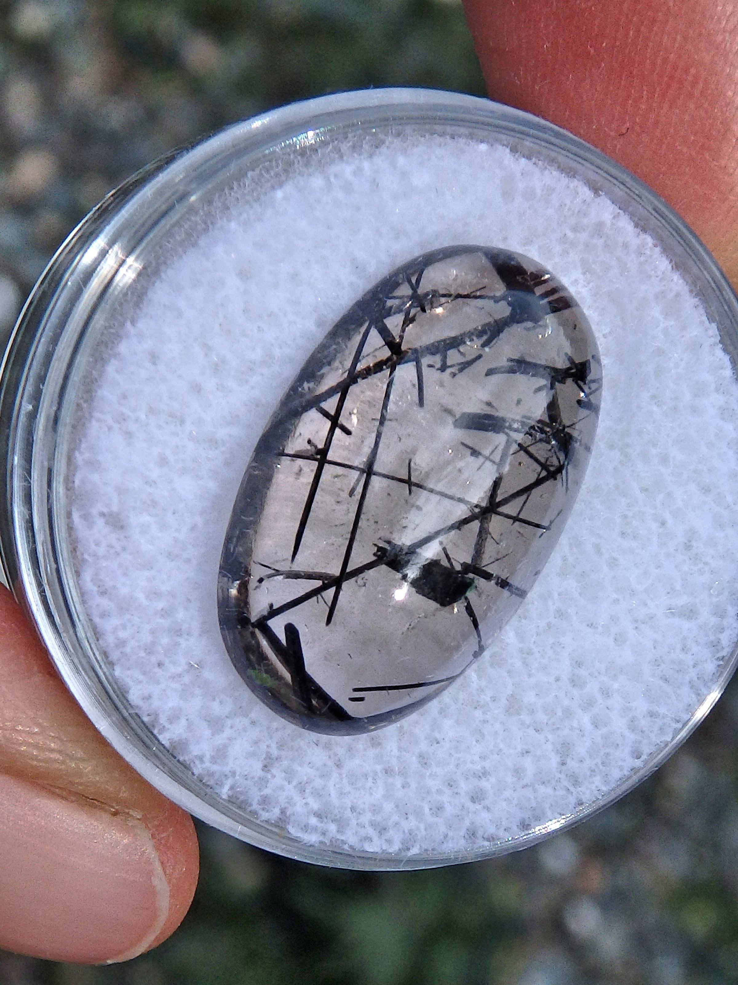 Brilliant Tourmalated Quartz Cabochon in Collectors Box (Perfect to Make Jewelry) - Earth Family Crystals