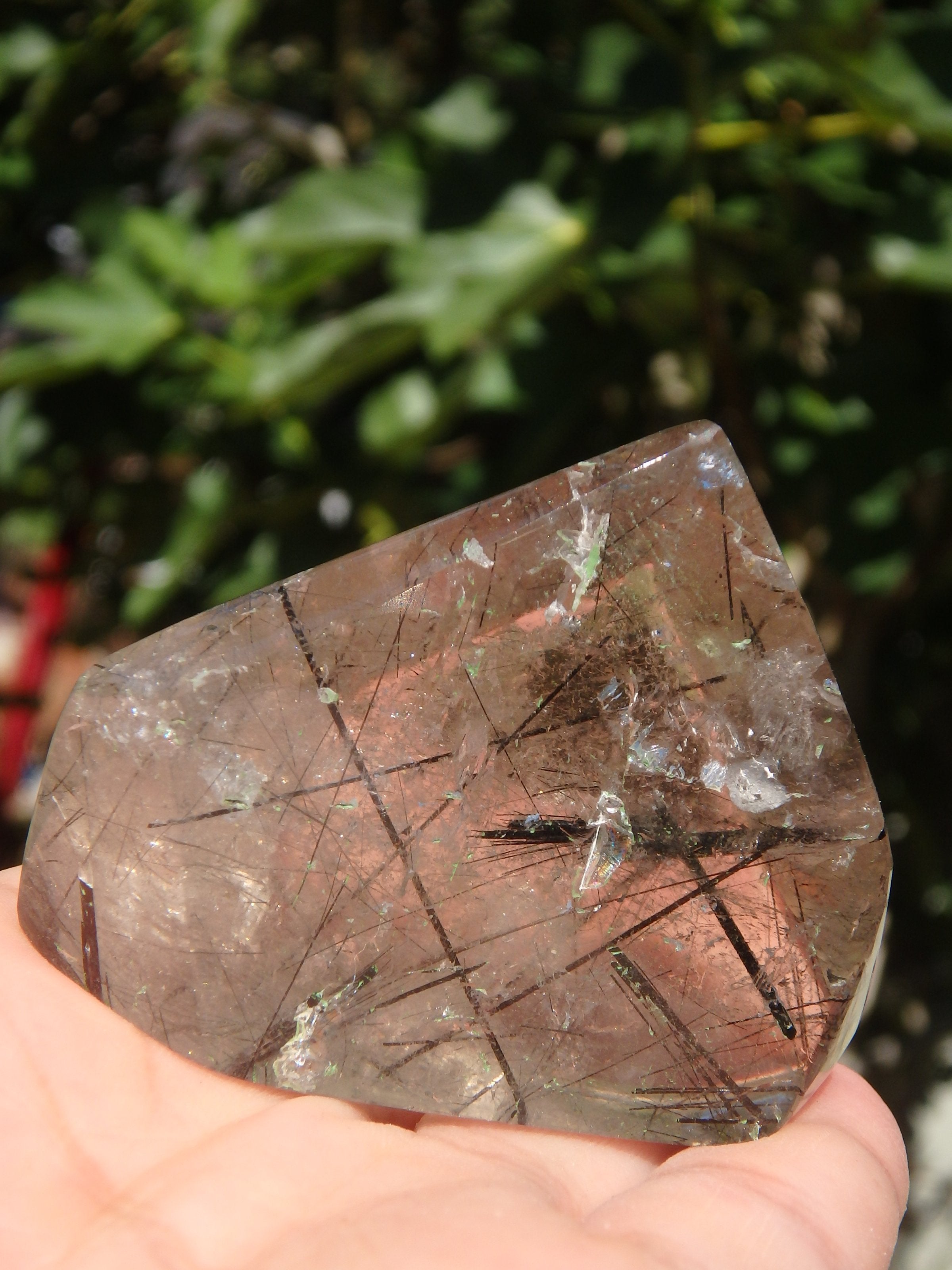 RESERVED FOR TRACY~ Gorgeous Himalayan Tourmalated Quartz Standing Specimen From India REDUCED - Earth Family Crystals