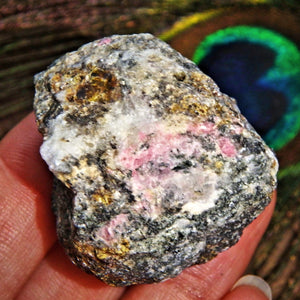 Rare Cranberry Pink Tugtupite in Matrix From Greenland- Hand Harvested in 2015 - Earth Family Crystals