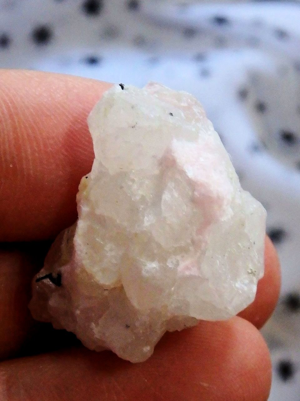 Rare Greenland Creamy Pink Tugtupite in Matrix of White Natrolite 2 - Earth Family Crystals