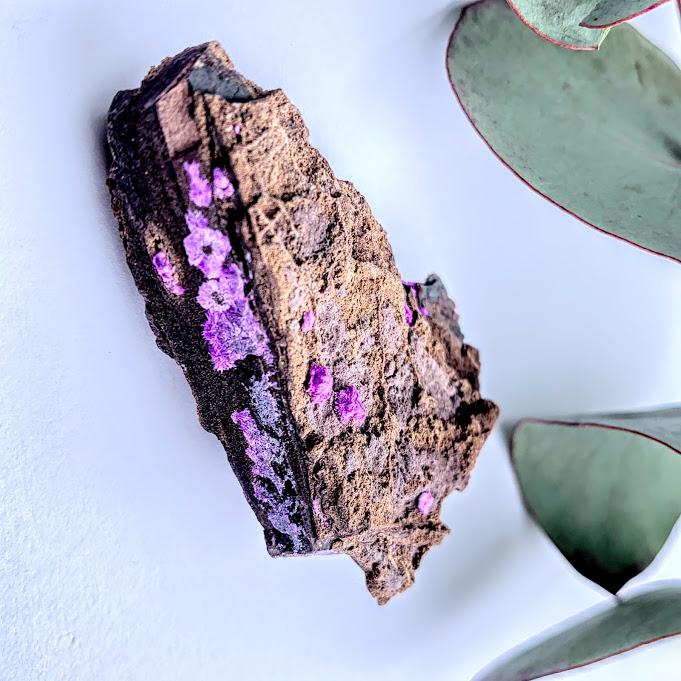 Rare & Raw Silky Purple Sugilite on Rock Matrix From South Africa - Earth Family Crystals