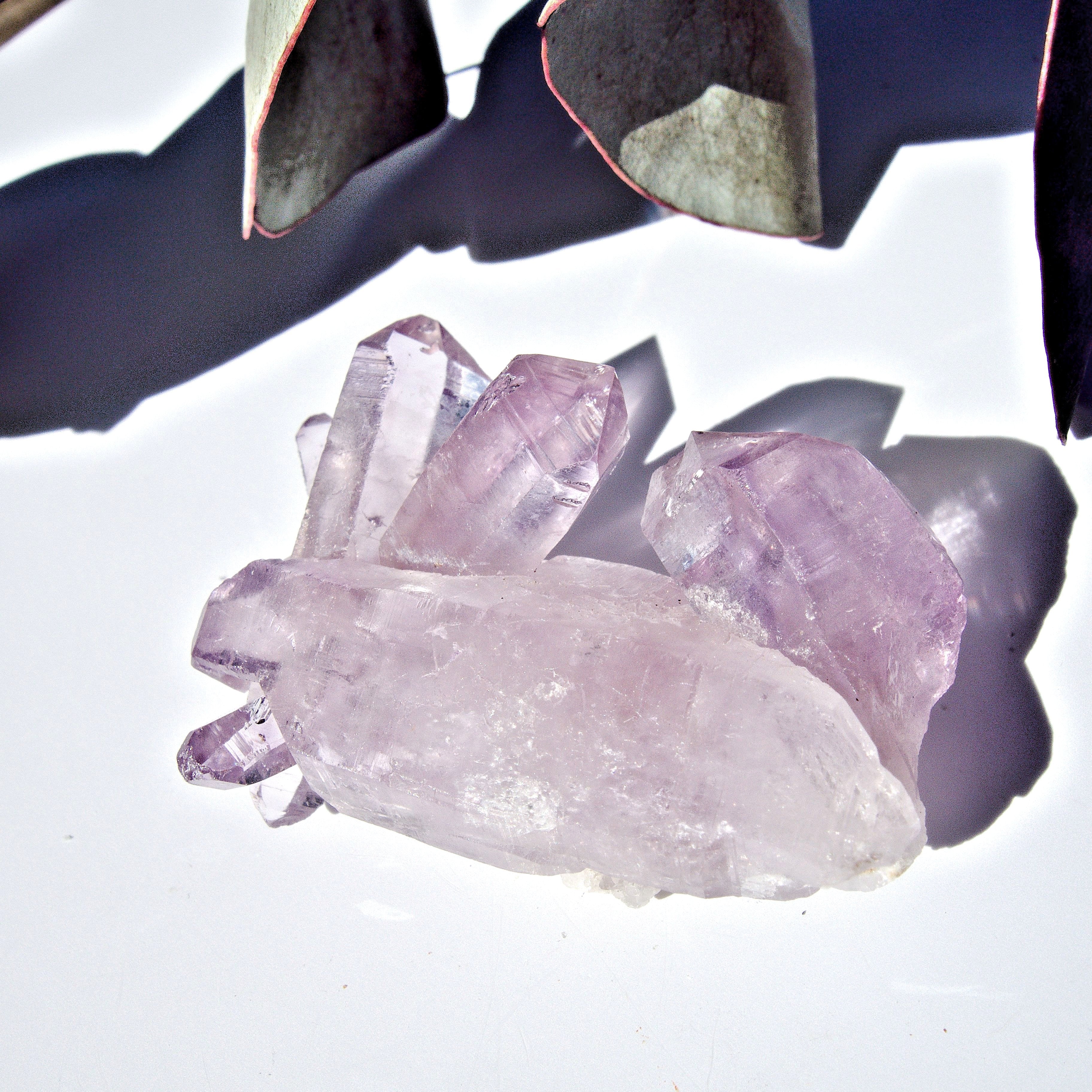 Vera Cruz Amethyst Double Terminated Point Cluster From Mexico #1 - Earth Family Crystals