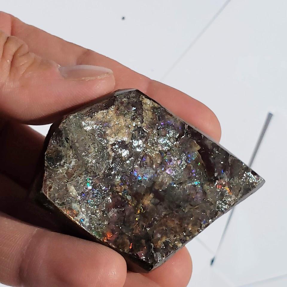 Chunky Alberta Ammolite Fossil Free Form Hand Held Specimen #2 - Earth Family Crystals