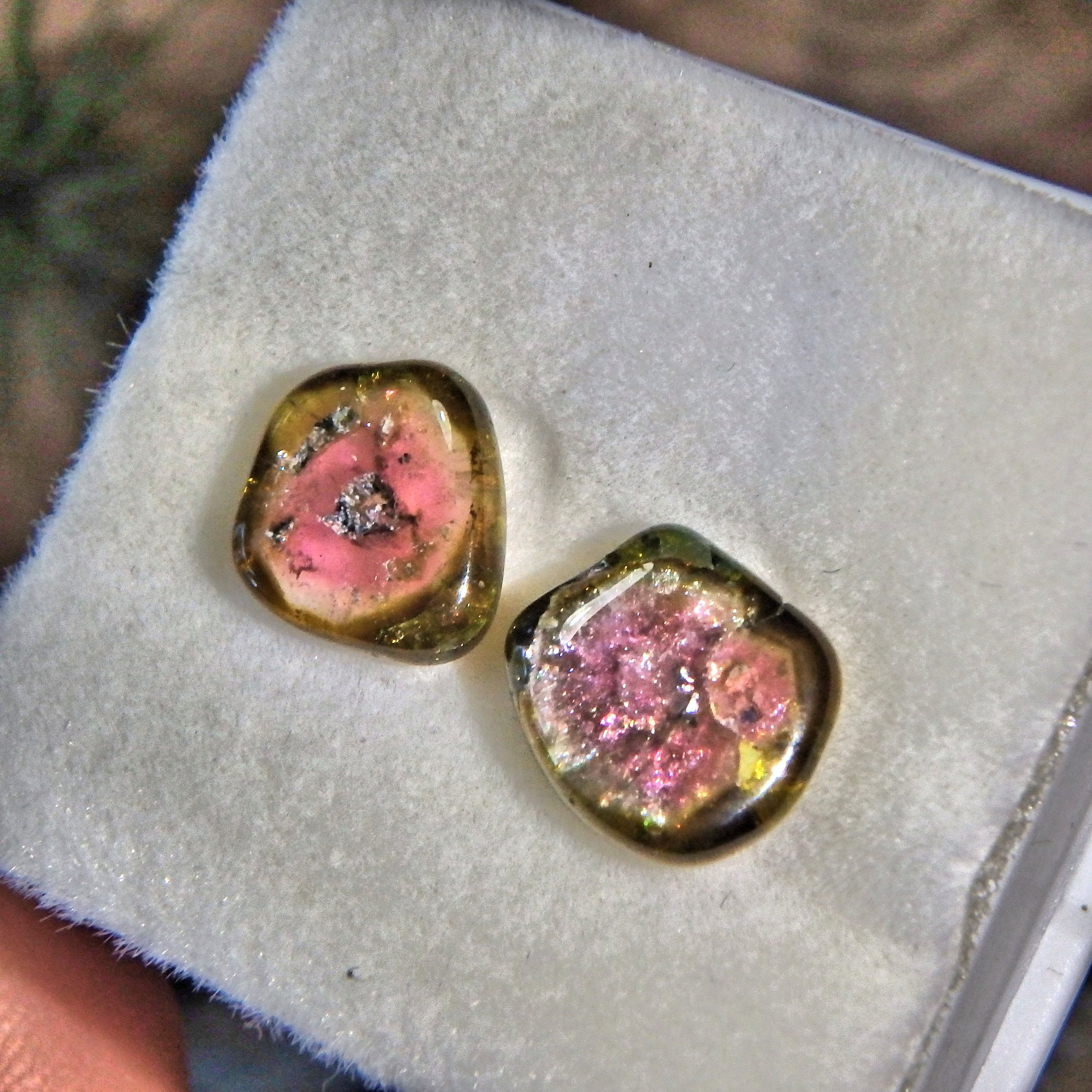 Set of 2 Rare Watermelon Tourmaline Polished Slices From Brazil in Collectors Box