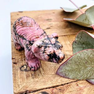 Adorable Rhodonite Bear Display Carving - Earth Family Crystals