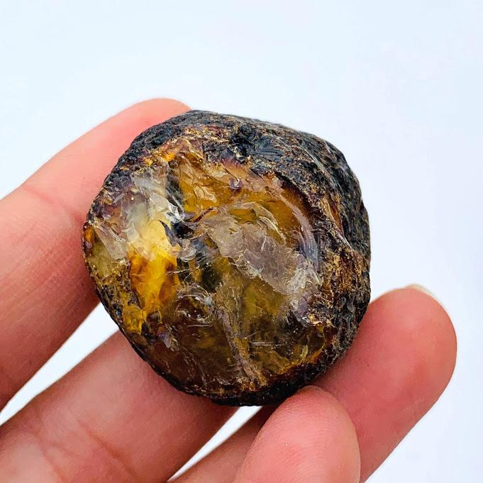 Sumatra Blue & Golden Raw Amber Chunk #4 - Earth Family Crystals