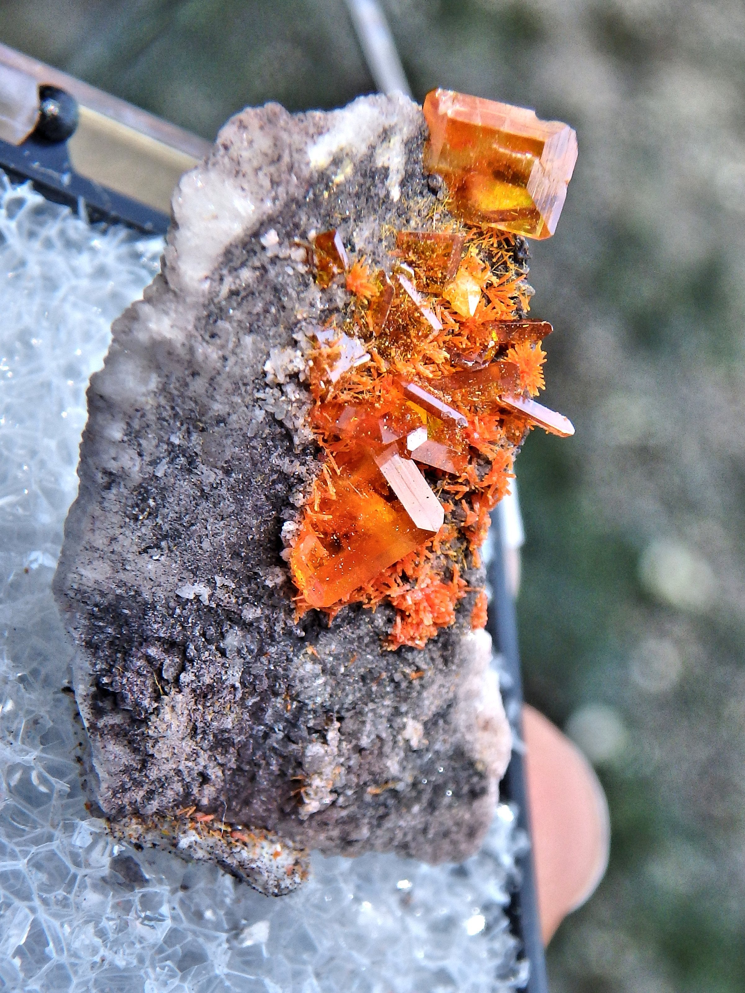 Vibrant Orange Wulfenite in Collectors Box From Rowley Mine, Arizona - Earth Family Crystals