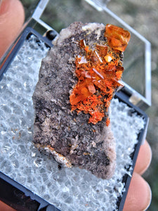 Vibrant Orange Wulfenite in Collectors Box From Rowley Mine, Arizona - Earth Family Crystals