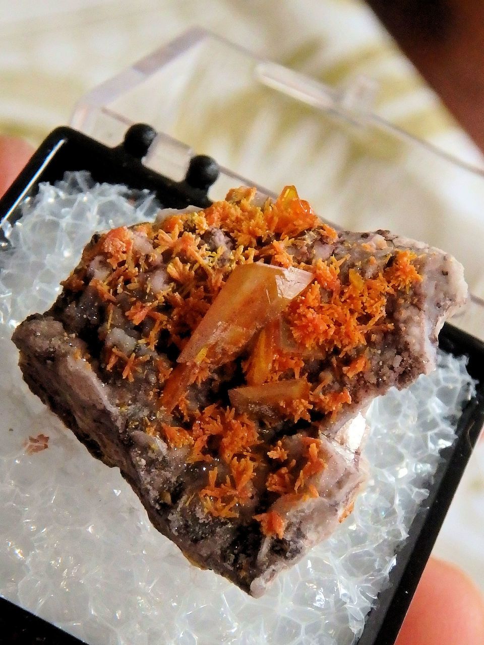 Orange Wulfenite & Mimetite in Collectors Box From Rowley Mine, Theba, Arizona - Earth Family Crystals