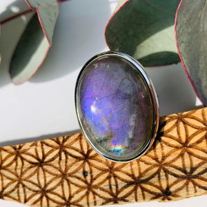 Stunning Purple Flash Labradorite Ring in Sterling Silver (Size 9.5) - Earth Family Crystals