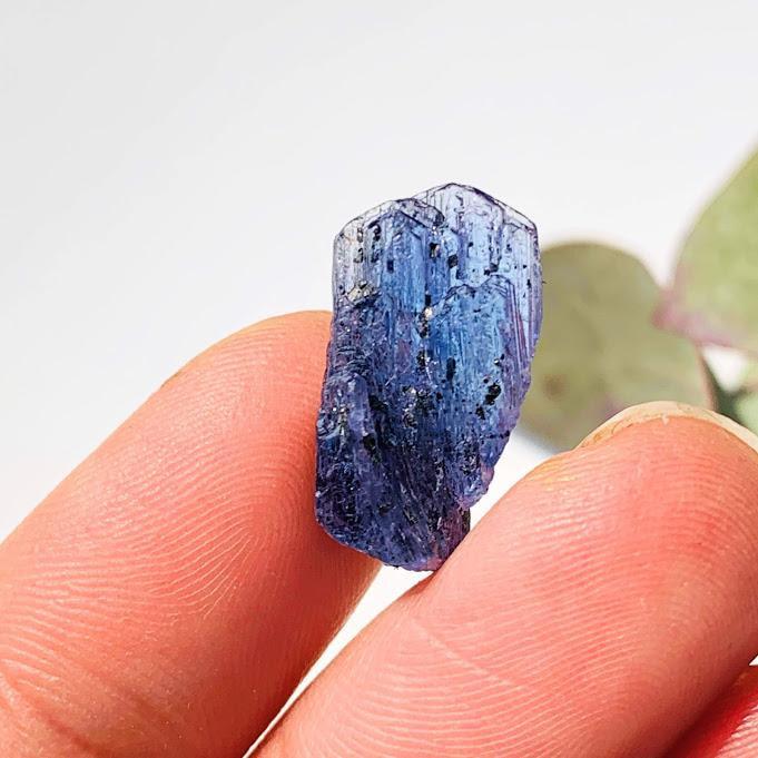 9.5CT High Grade Multi Terminated Gemmy Tanzanite Specimen in Collectors Box #3 - Earth Family Crystals