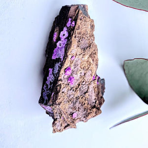 Rare & Raw Silky Purple Sugilite on Rock Matrix From South Africa - Earth Family Crystals