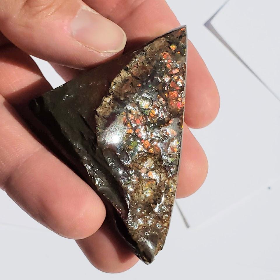 Chunky Alberta Ammolite Fossil Free Form Hand Held Specimen #1 - Earth Family Crystals