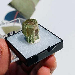 Rare Gemmy Watermelon Tourmaline Point From Brazil in Collectors Box #1 - Earth Family Crystals