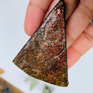 Sparkling Golden Red & Green Ammolite Chunky Free Form From Alberta