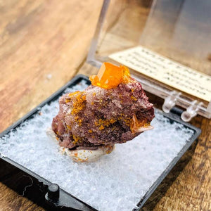 Vibrant Orange Wulfenite Crystals Nestled on Matrix From Rowley Mine, Arizona in Collectors Box - Earth Family Crystals